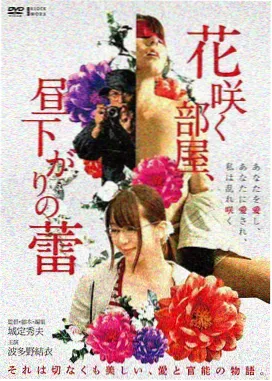 小姐电影海报